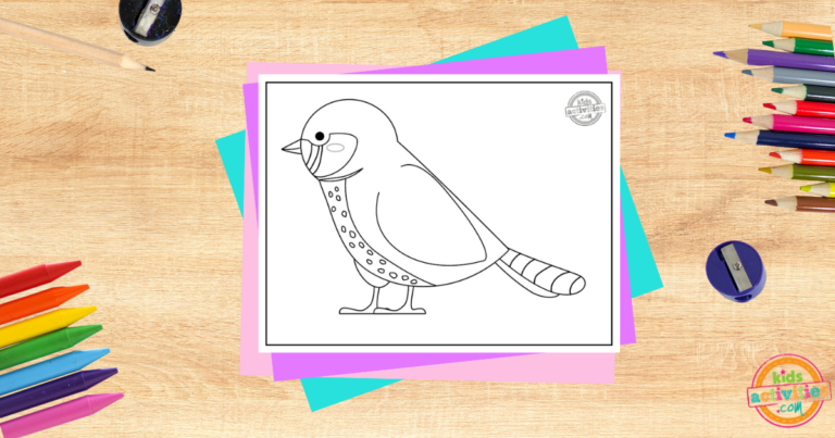 Printable Zebra Finch Coloring Page Kids Activities Blog