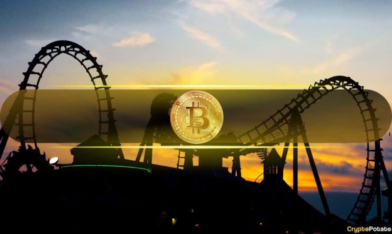 Bitcoin Rollercoaster