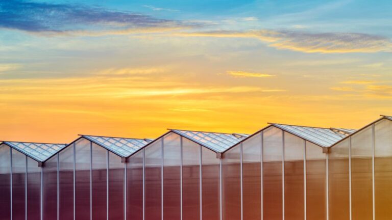 Large Industrial Greenhouse at Sunset