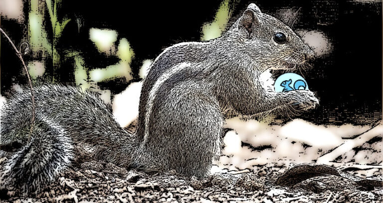 NeuCoin Squirrel