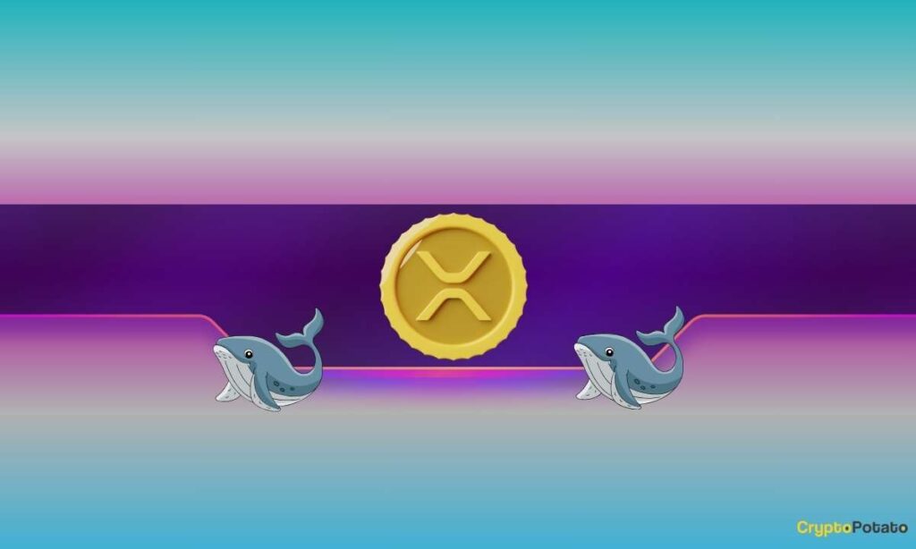 XRP Whales CB