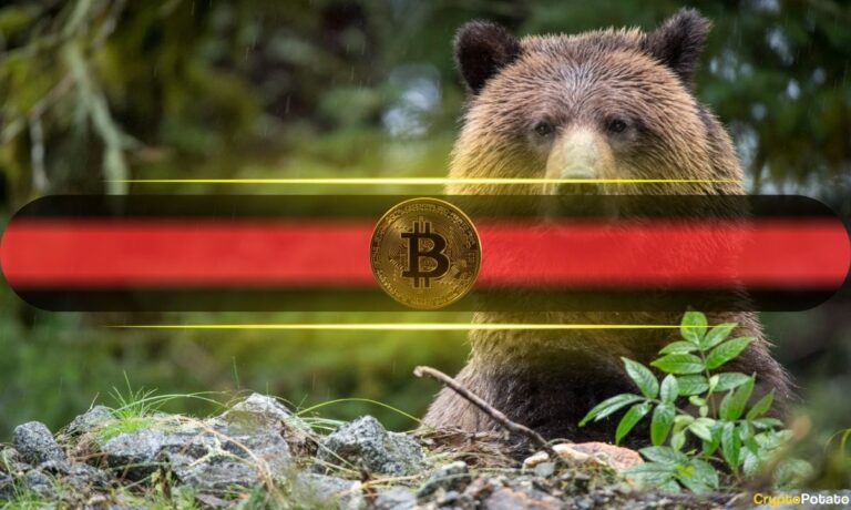 Bitcoin Bear