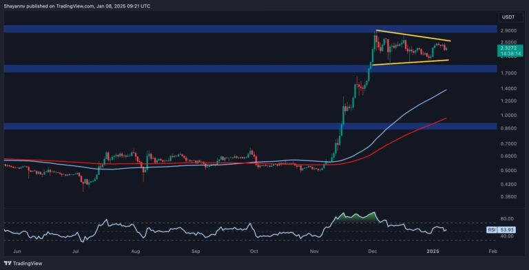 XRP D 1 scaled