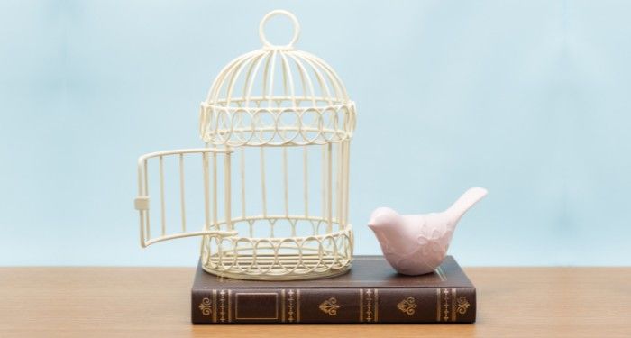 caged bird.jpg.optimal