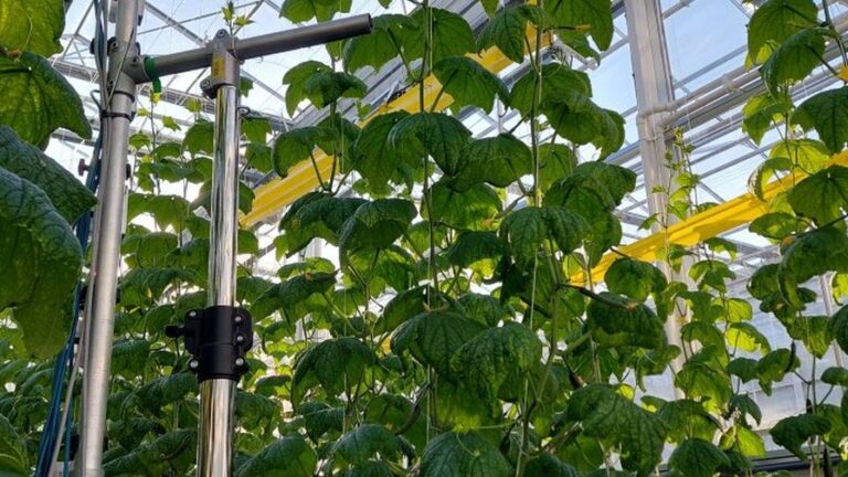 AGROS II autonomous smart cultivation greenhouse project from Wageningen WUR