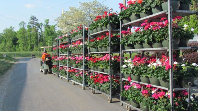Darrell Norris a Son Greenhouses supermarket system offers a streamlined approach that accelerates order completion reduces labor requirements and eliminates the inefficiencies